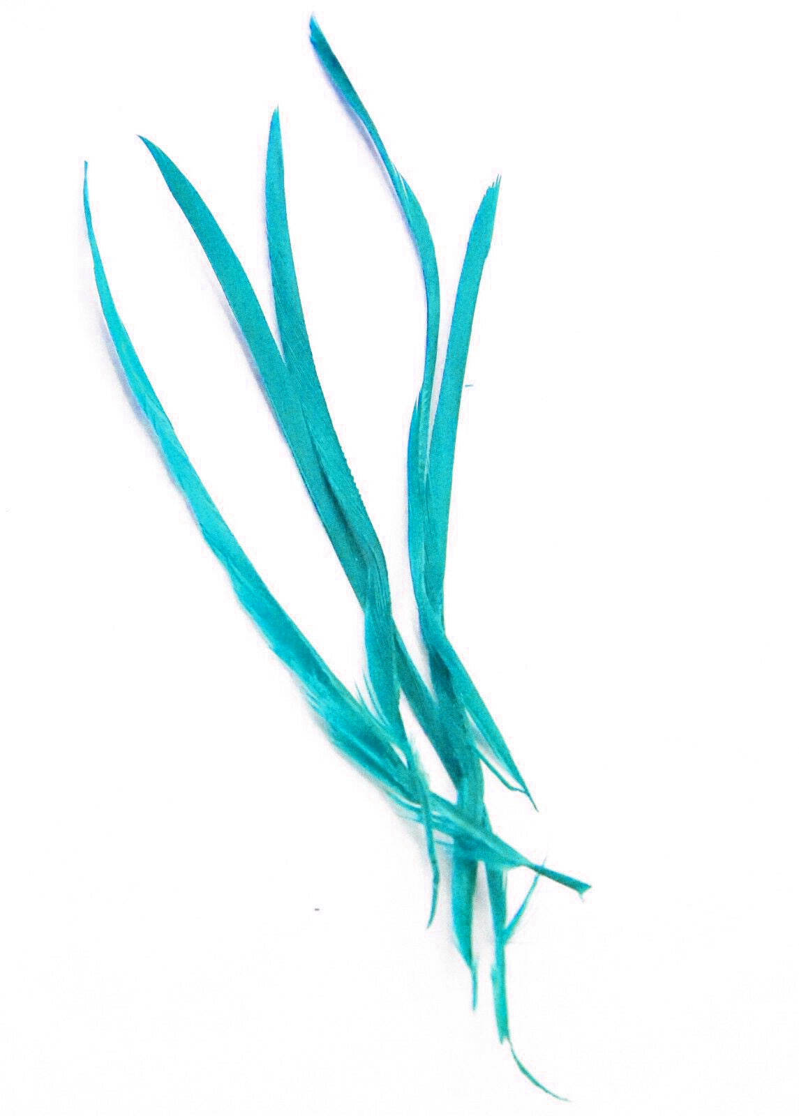 Long Fascinator Feathers Stripped Goose Biot Millinery Hats Trimmings Coloured