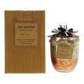 Bali Mantra Hibiscus Glass Copper Candle 500g - Kaffir Lime