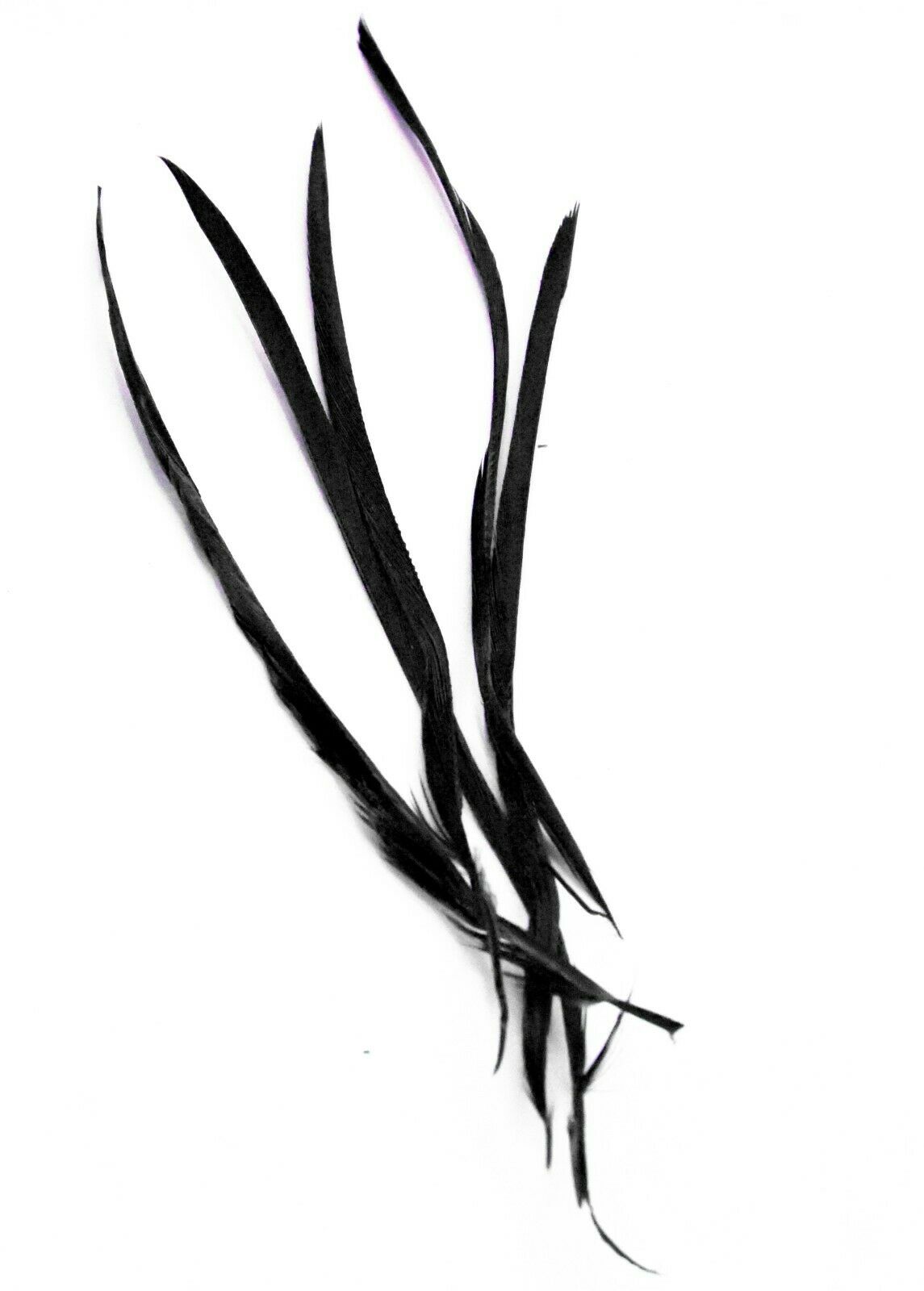 Long Fascinator Feathers Stripped Goose Biot Millinery Hats Trimmings Coloured