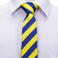Boys Blue and Yellow Striped Silk Tie
