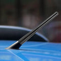 NP-29 Modified Car Antenna Aerial, Length: 18cm, Length: 18cm