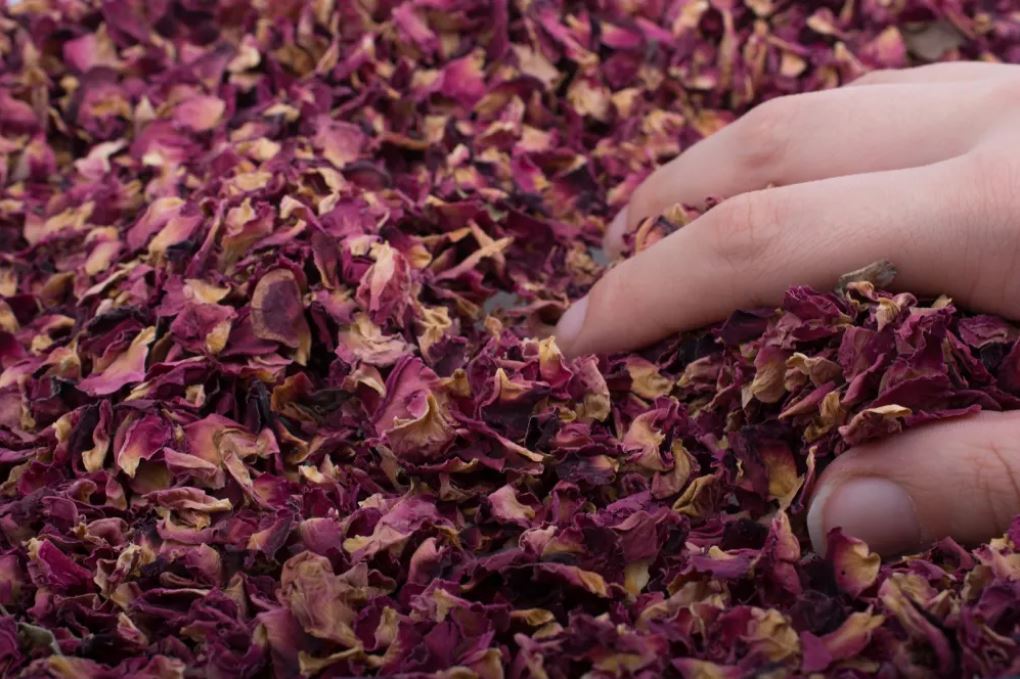 Healing Hand Lotion - Soothes and Nourishes Hands *Lavender or Rose*