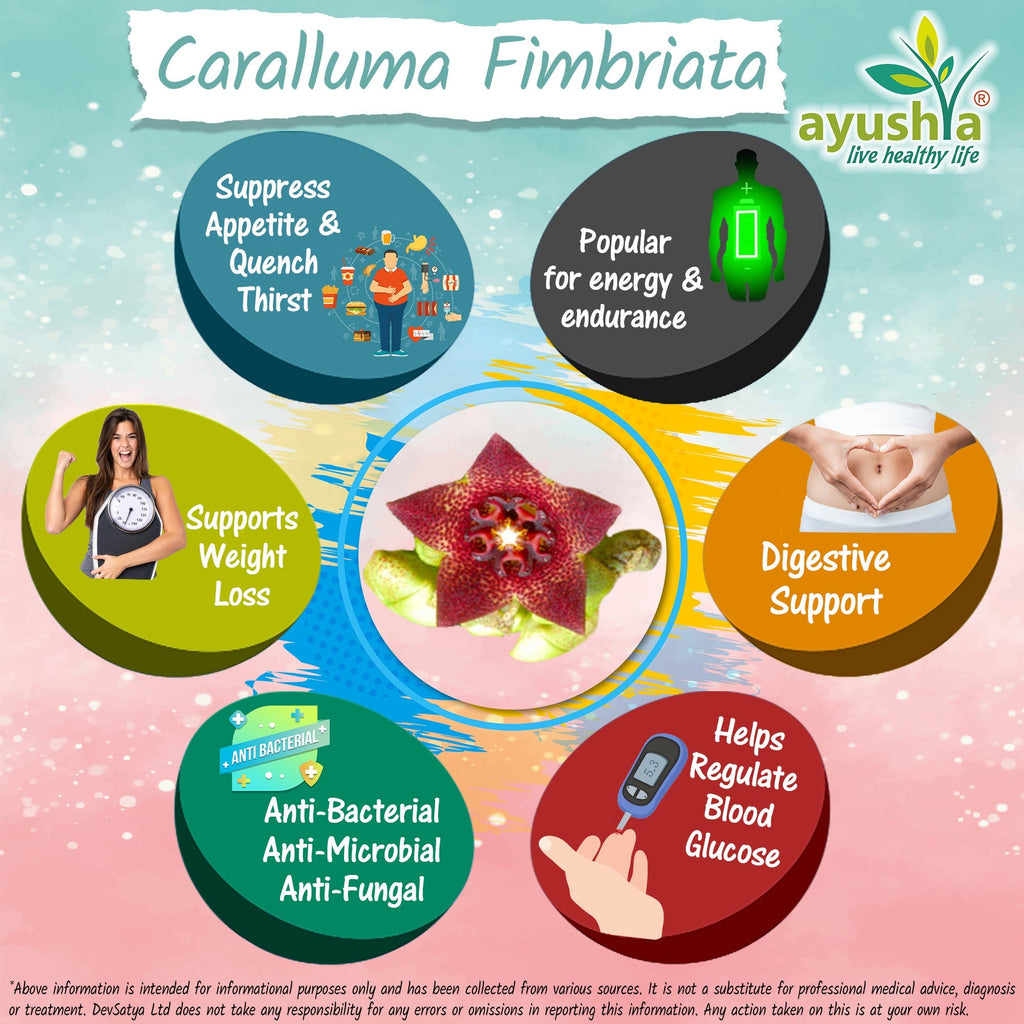 Ayushya Caralluma Fimbriata Capsules (Famine Food) Appetite Balance Support - Vegan, Gluten Free, Non-GMO, 60 Capsules