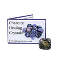 Charoite Crystal & Guide Pack
