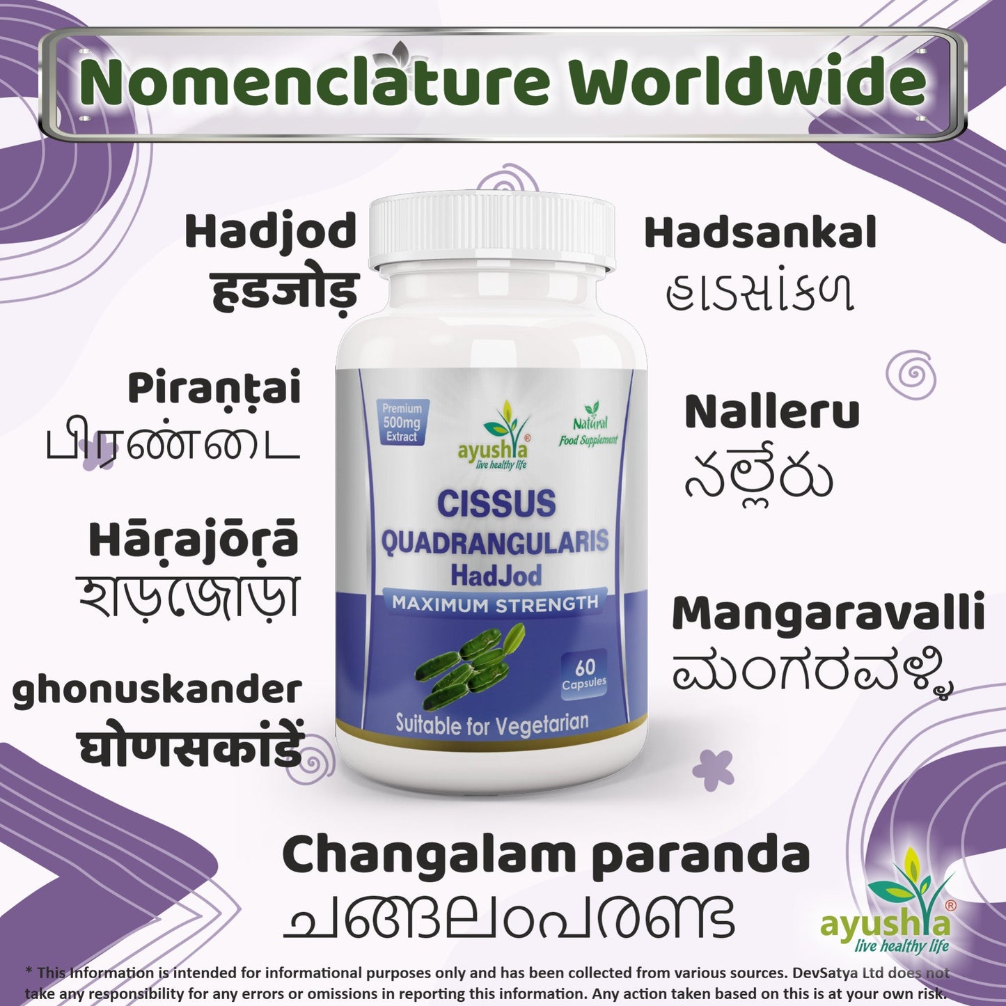Ayushya Cissus Quadrangularis Capsules (Hadjod, Bone Setter) Joint & Bone Support - Vegan, Gluten Free, Non-GMO, 60 Capsules