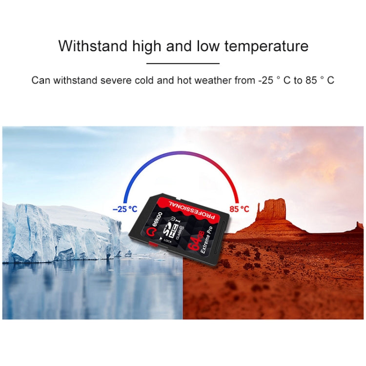 eekoo 64GB High Speed Class 10 SD Memory Card for All Digital Devices with SD Card Slot