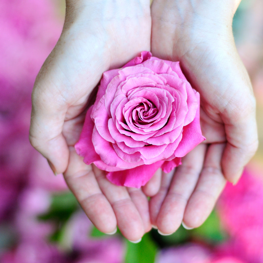 All Natural Rose Multi Use Oil For Hair, Nails & Body - 100ml