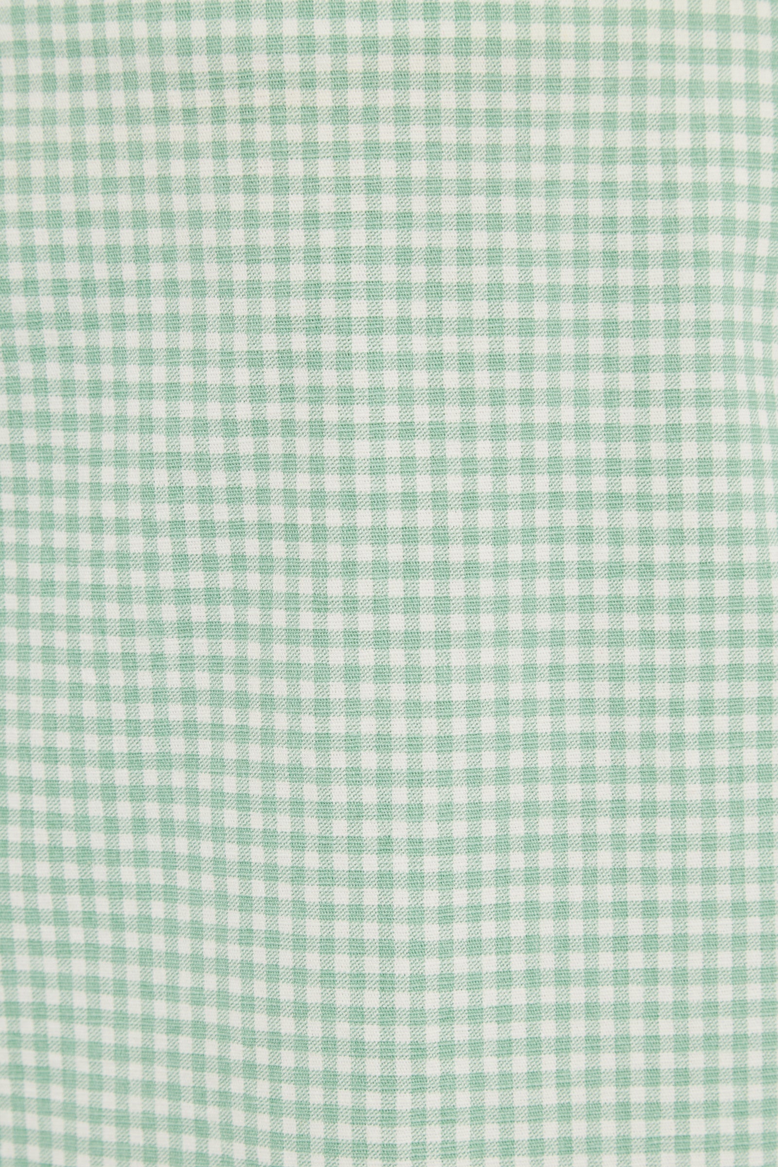 Dylan Summer Gingham Mini Skirt