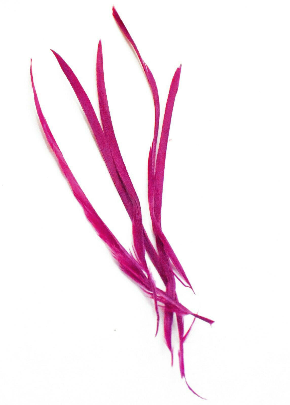 Long Fascinator Feathers Stripped Goose Biot Millinery Hats Trimmings Coloured
