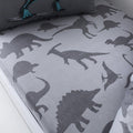 DINO FRIEND