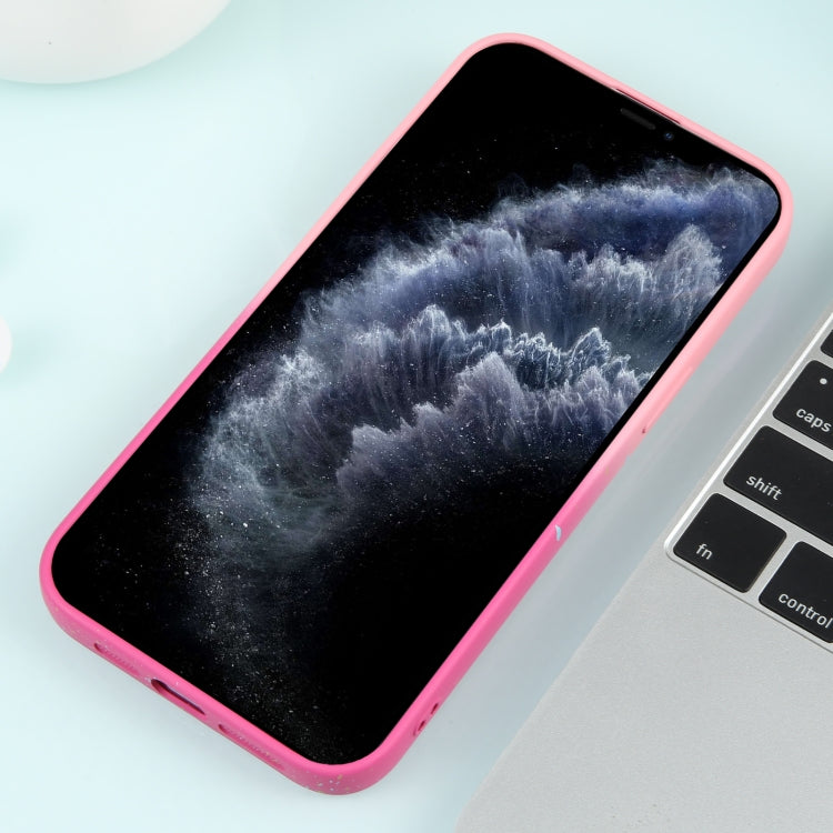 For iPhone 11 Pro Max Gradient Starry Silicone Phone Case with Lens Film(Pink Red)