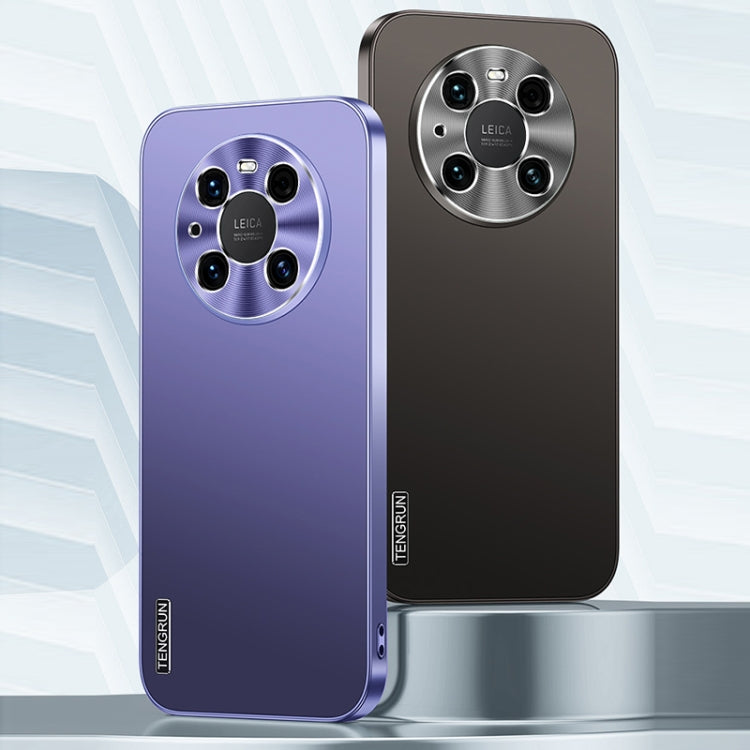 For Huawei nova 11 Pro Streamer Series Micro Frosted Metal Paint PC Phone Case(Silver)