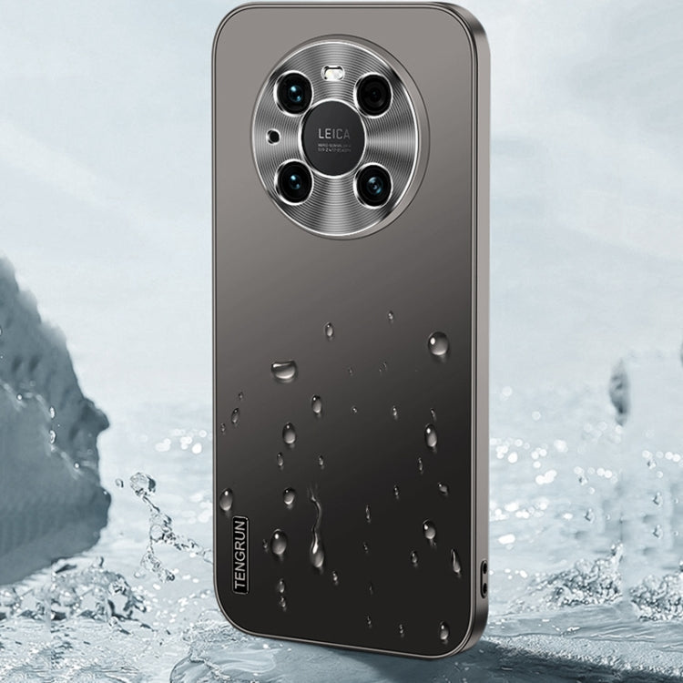 For Huawei nova 11 Pro Streamer Series Micro Frosted Metal Paint PC Phone Case(Silver)