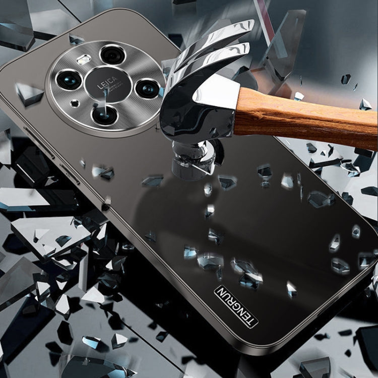 For Huawei nova 11 Pro Streamer Series Micro Frosted Metal Paint PC Phone Case(Silver)