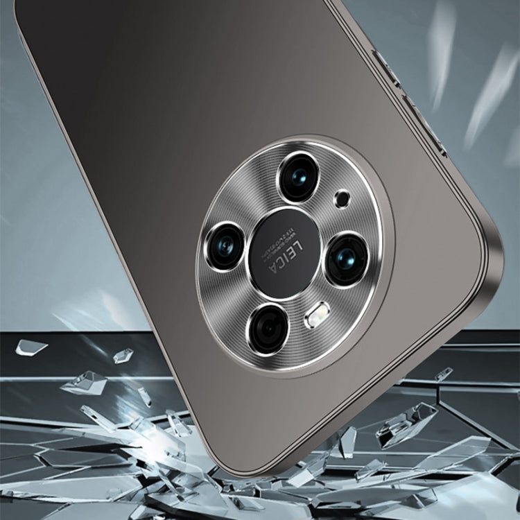 For Huawei nova 11 Pro Streamer Series Micro Frosted Metal Paint PC Phone Case(Silver)