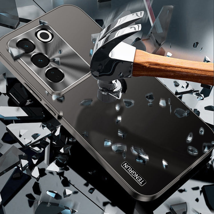 For vivo S16 Streamer Series Micro Frosted Metal Paint PC Phone Case(Dark Purple)