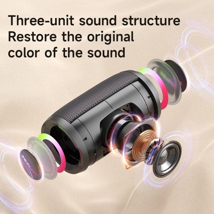 Zealot S61M RGB Rhythmic Light Karaoke Wireless Speaker, Style:Dual Mic(Black)