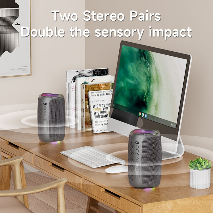Zealot S61M RGB Rhythmic Light Karaoke Wireless Speaker, Style:Dual Mic(Black)