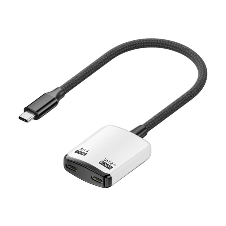 2 in 1 Type-C to Dual Type-C Full Featured AR Converter