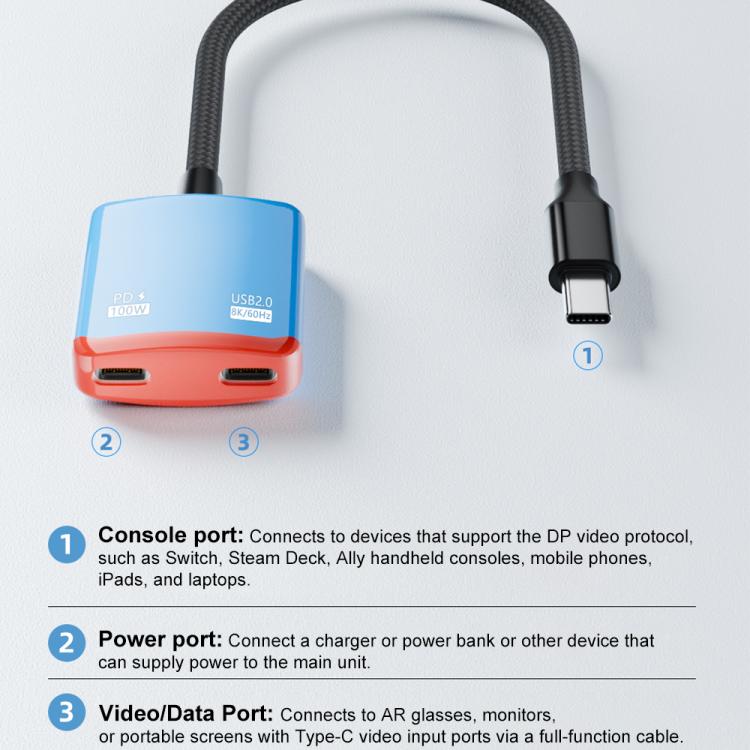 2 in 1 Type-C to Dual Type-C Full Featured AR Converter