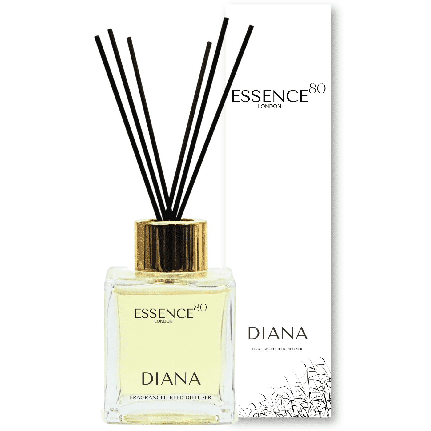 Inspired by "Lady 999,999+1" by The Visionary Spanish-Born Designer - Diana Reed Diffuser