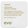 Evo Morning Glory Cassius Gift Set 100ml Cassius Styling Clay + 300ml Normal Persons Shampoo
