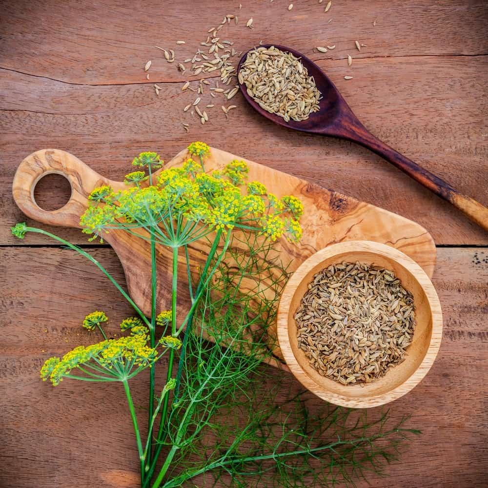Angel's Natural Remedy Syrup - Vinegar, Garlic & Honey