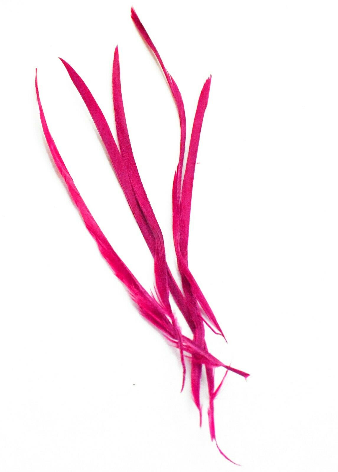 Long Fascinator Feathers Stripped Goose Biot Millinery Hats Trimmings Coloured