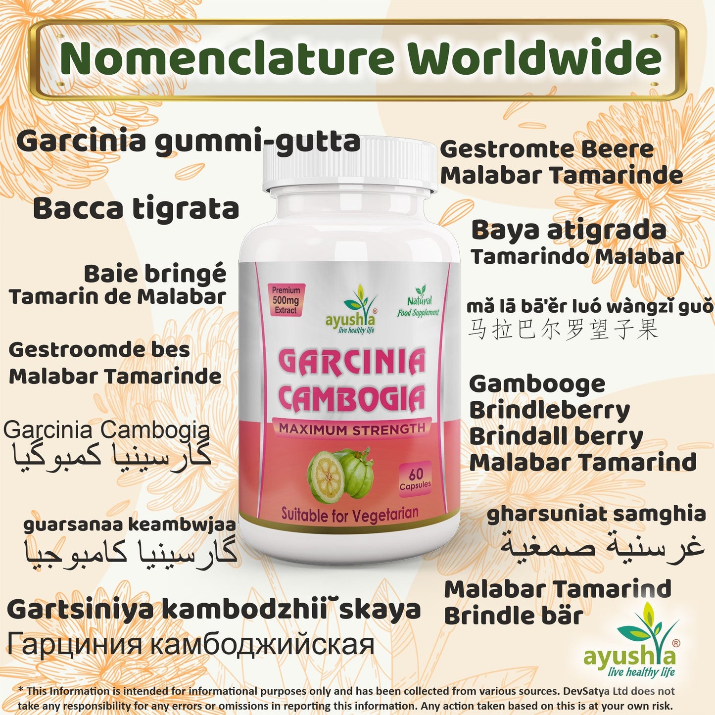 Ayushya Garcinia Cambogia Capsules (Malabar Tamarind) Healthy Weight Support - Vegan, Gluten Free, Non-GMO, 60 Capsules