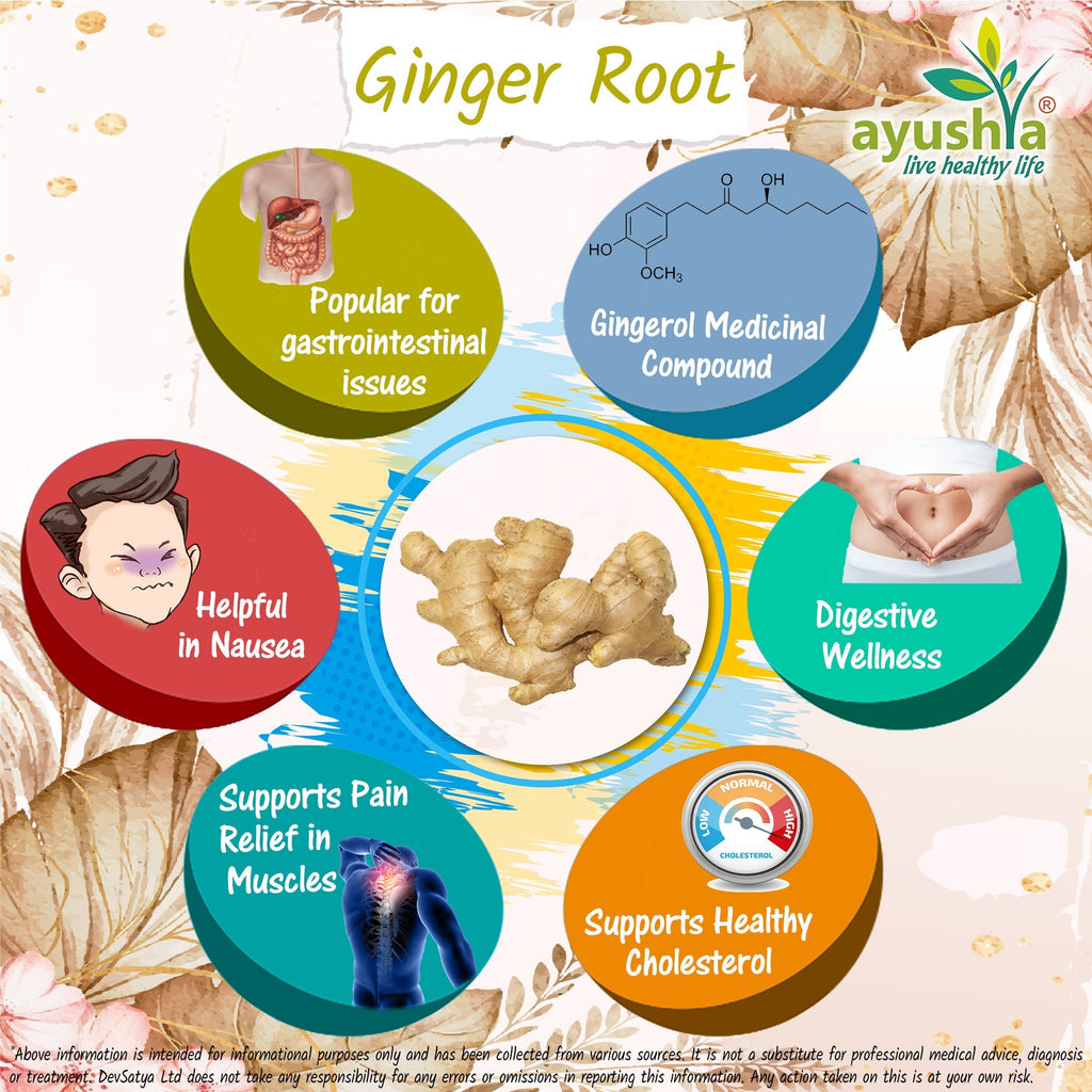 Ayushya Ginger Capsules (Adrak, Sunthi) Digestive Comfort Support - Vegan, Gluten Free, Non-GMO, 60 Capsules