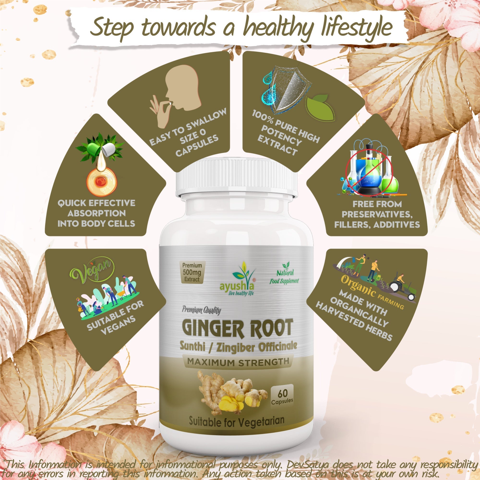 Ayushya Ginger Capsules (Adrak, Sunthi) Digestive Comfort Support - Vegan, Gluten Free, Non-GMO, 60 Capsules