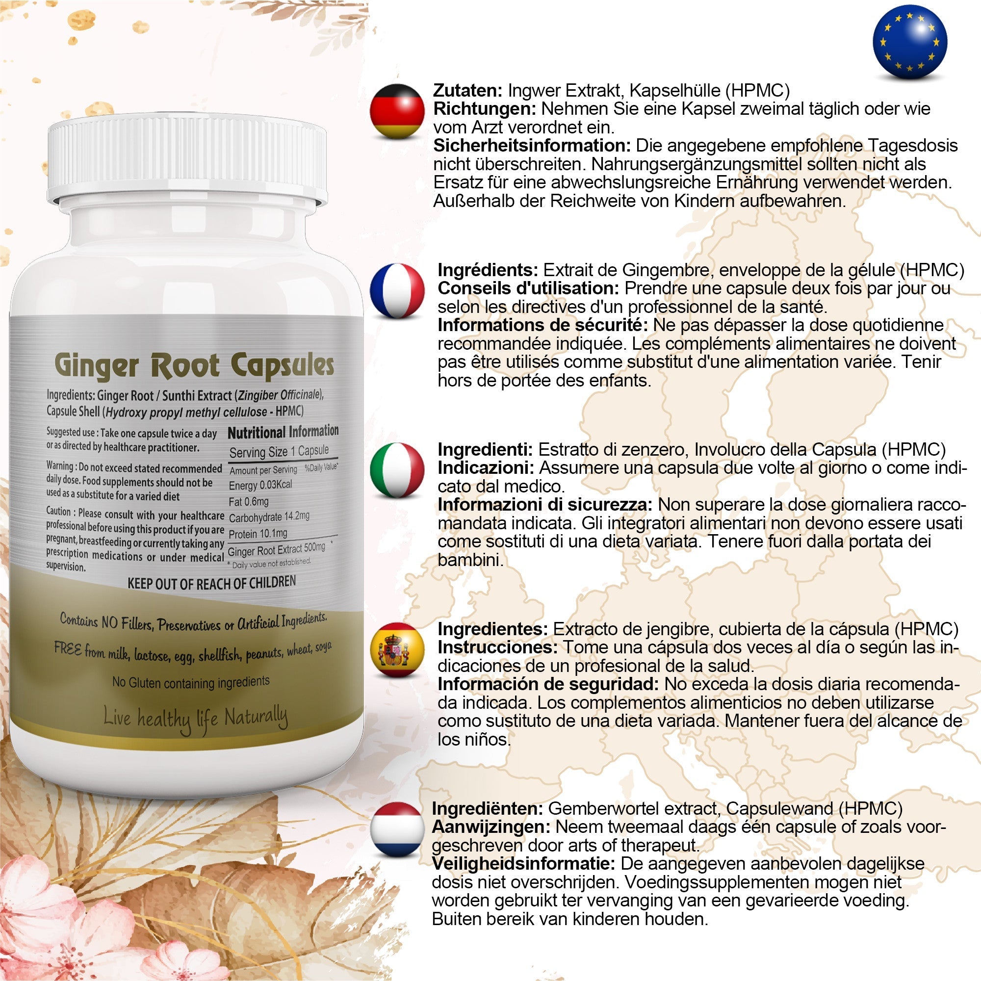 Ayushya Ginger Capsules (Adrak, Sunthi) Digestive Comfort Support - Vegan, Gluten Free, Non-GMO, 60 Capsules