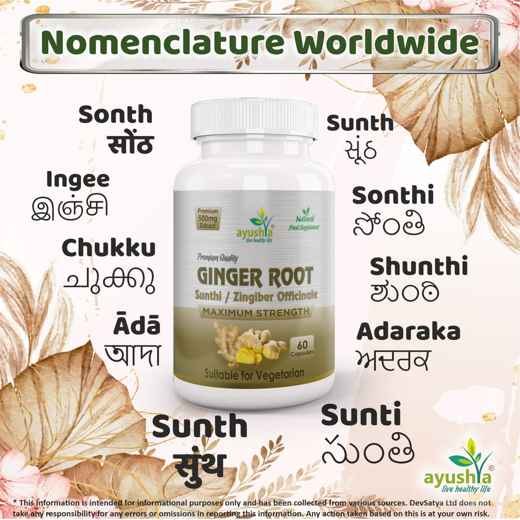 Ayushya Ginger Capsules (Adrak, Sunthi) Digestive Comfort Support - Vegan, Gluten Free, Non-GMO, 60 Capsules