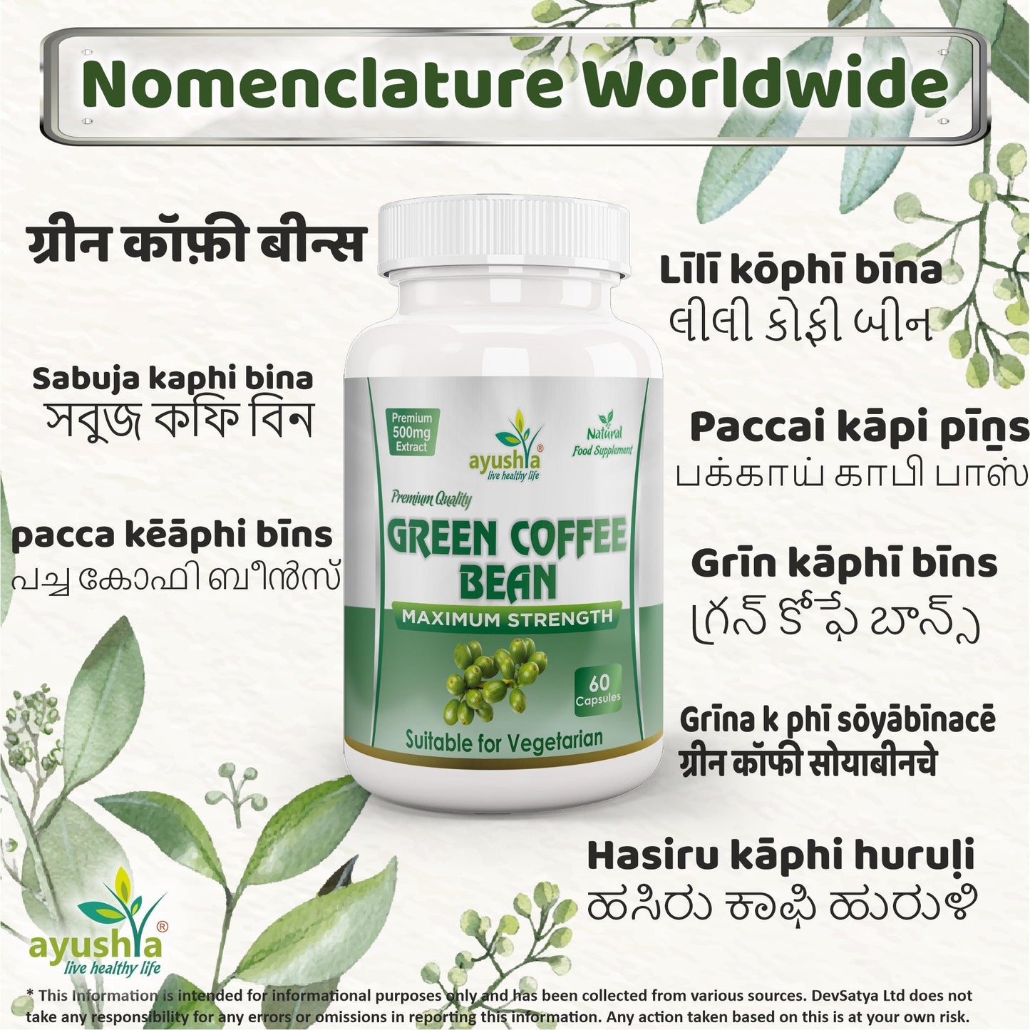 Ayushya Green Coffee Bean Capsules Energy & Antioxidant Support - Vegan, Gluten Free, Non-GMO, 60 Capsules