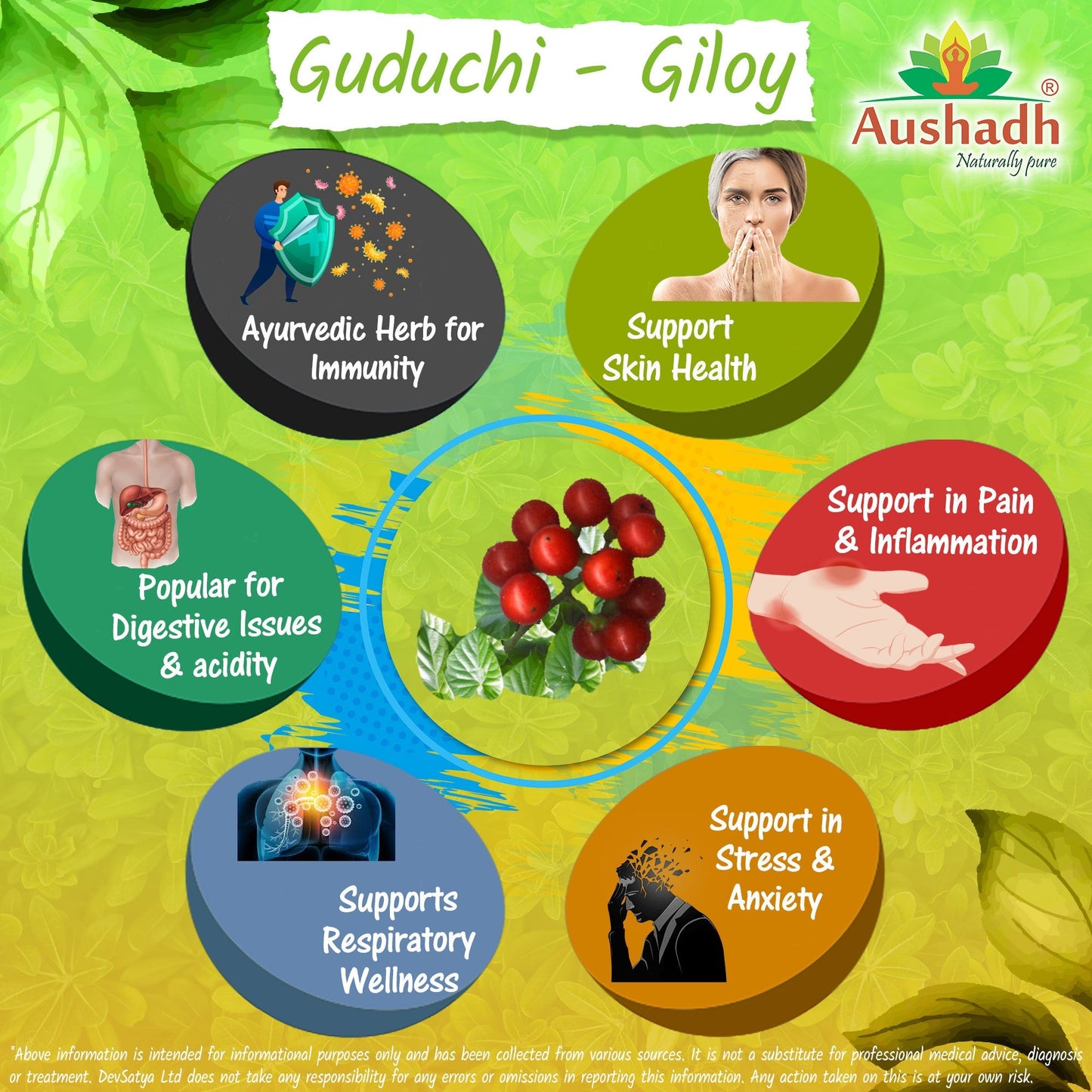Aushadh Guduchi with Amla Capsules (Giloy, Tinospora Cordifolia) Immune Wellness & Antioxidant Support - Vegan, Gluten Free, Non-GMO, 60 Capsules