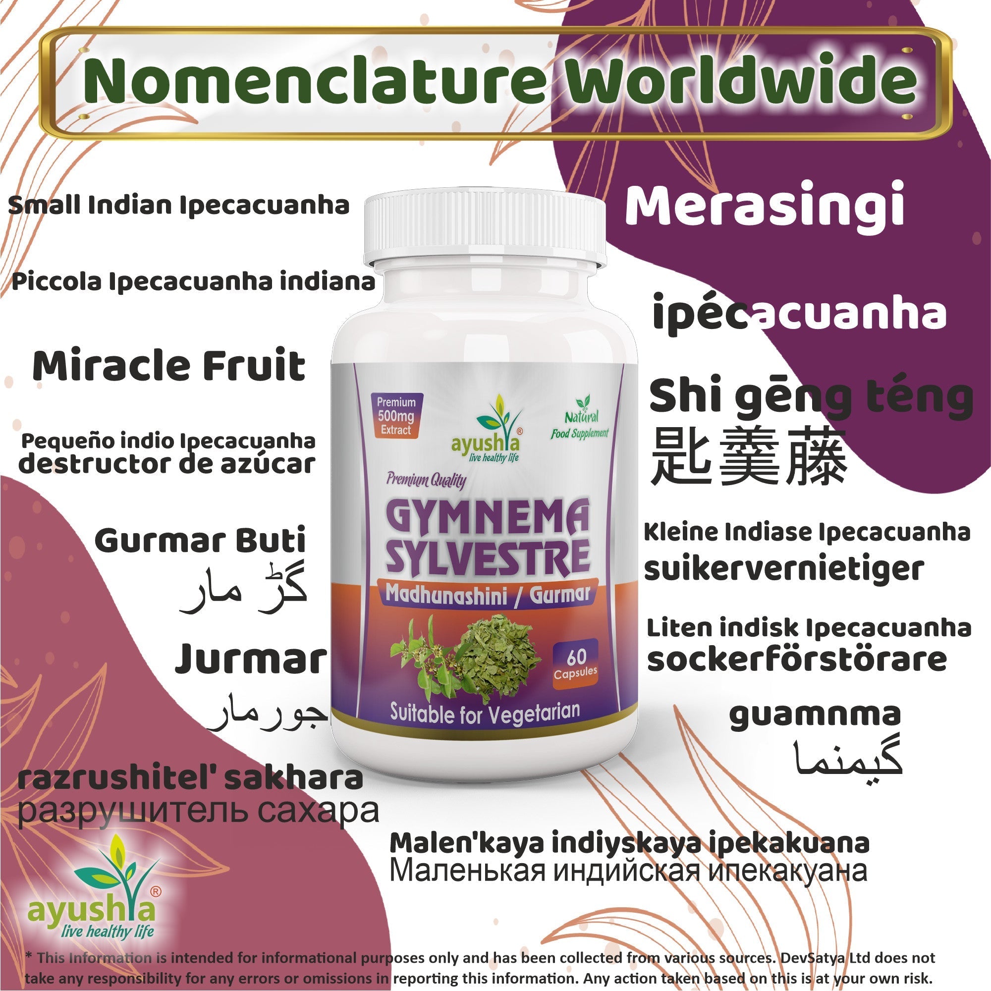 Ayushya Gymnema Sylvestre with Black Pepper Capsules (Madhunaashini, Gurmar) Glucose Wellness Support - Vegan, Gluten Free, Non-GMO, 60 Capsules