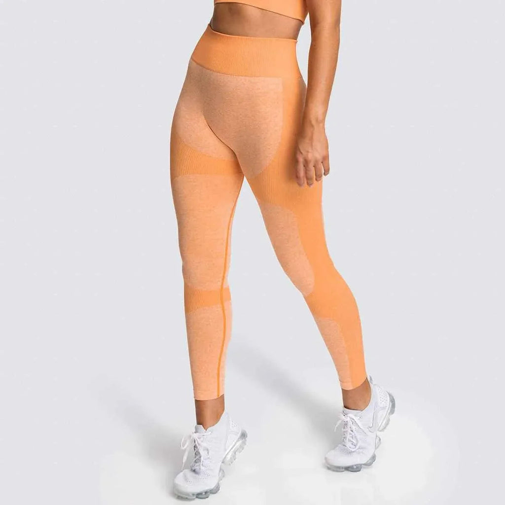 2 Piece Set Seamless Gym Wear Leggings for Women with Breathable Yoga Bra - High Quality Activewear