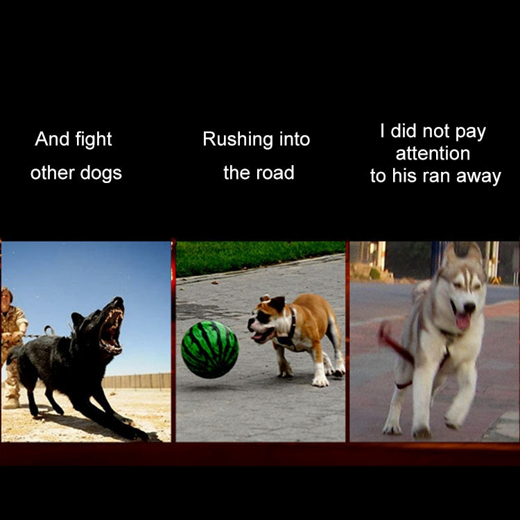 Medium and Large Dog Pet Solar + USB Charging LED Light Collar, Neck Circumference Size: S, 35-40cm, Size: S