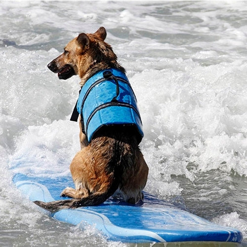 Pet Saver Dog Reflective Stripes Life Vest Jacket for Swimming Boating Surfing, Size: S, Size: S