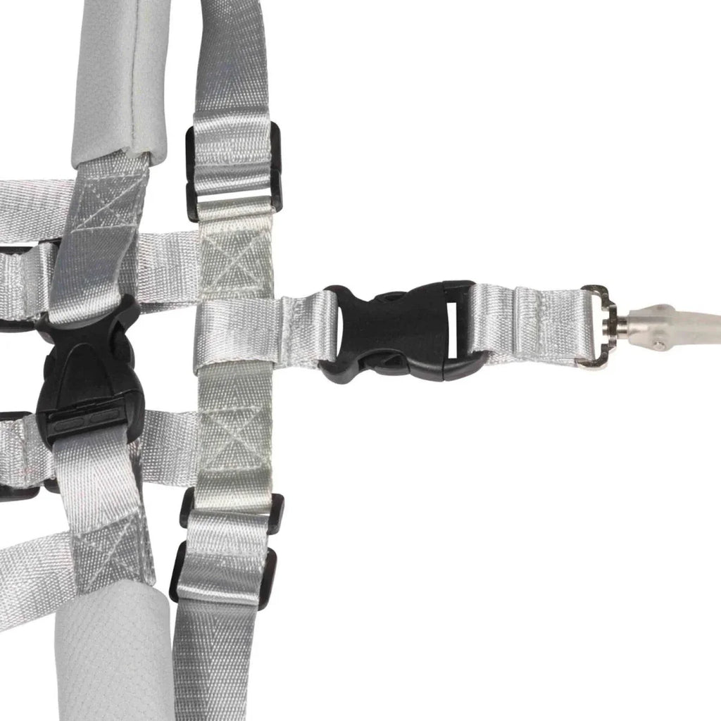 Dooky Safety Harness Set 