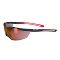 Hellberg 23333 Argon Red Anti-Fog/Scratch Safety Glasses