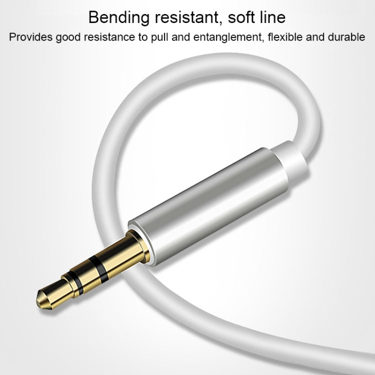8 Pin to 3.5mm AUX Audio Adapter Cable, Length: 1m