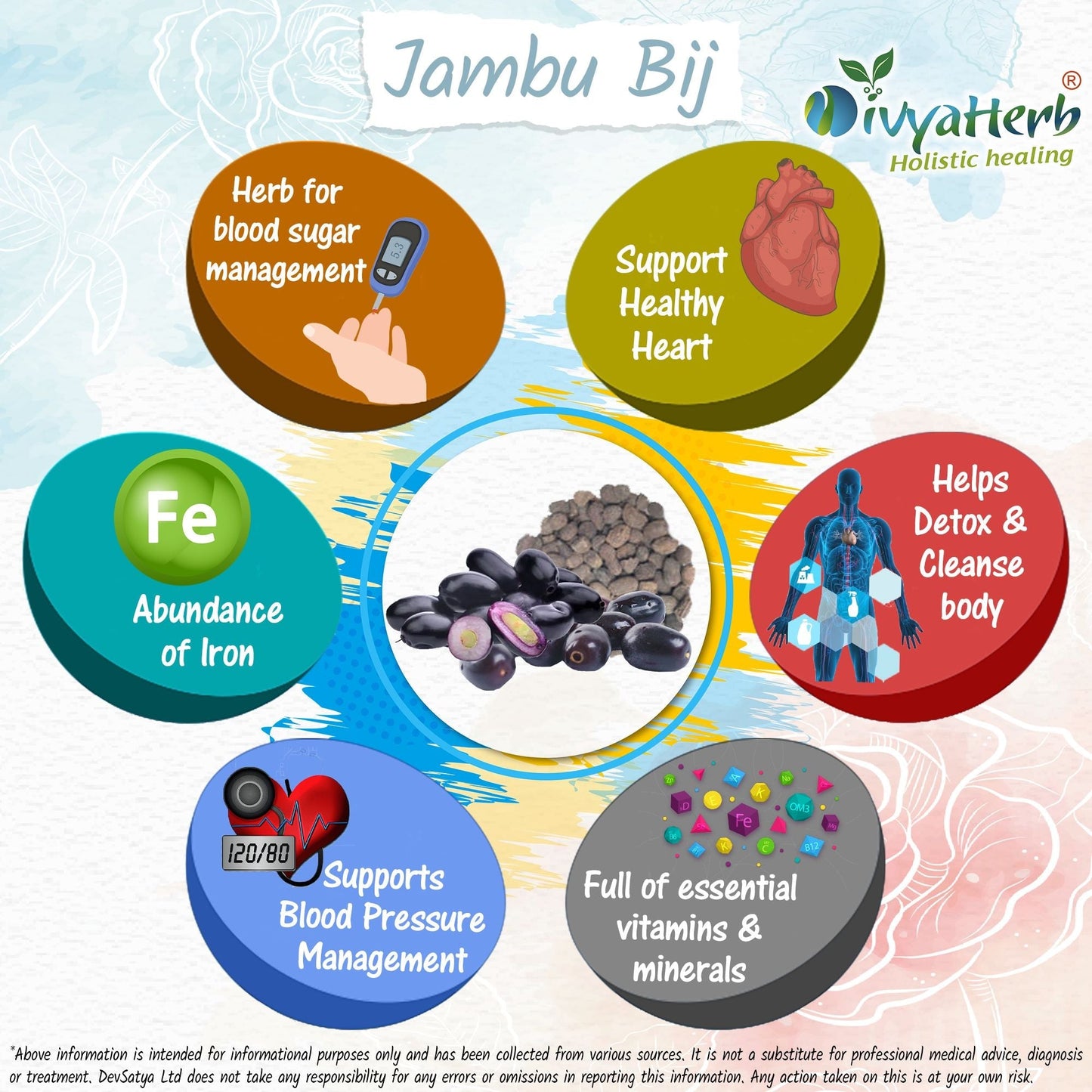 DivyaHerb Jambu Bij Powder 100 gram - Daily Wellness Support