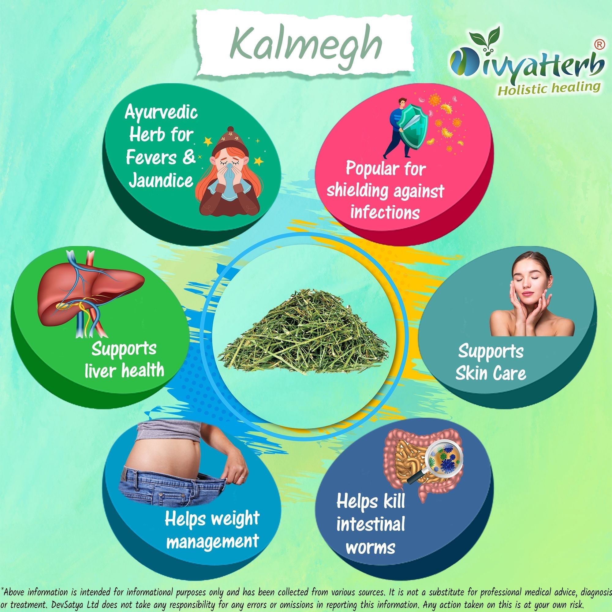 DivyaHerb Kalmegh Powder 100 gram - Daily Wellness Support