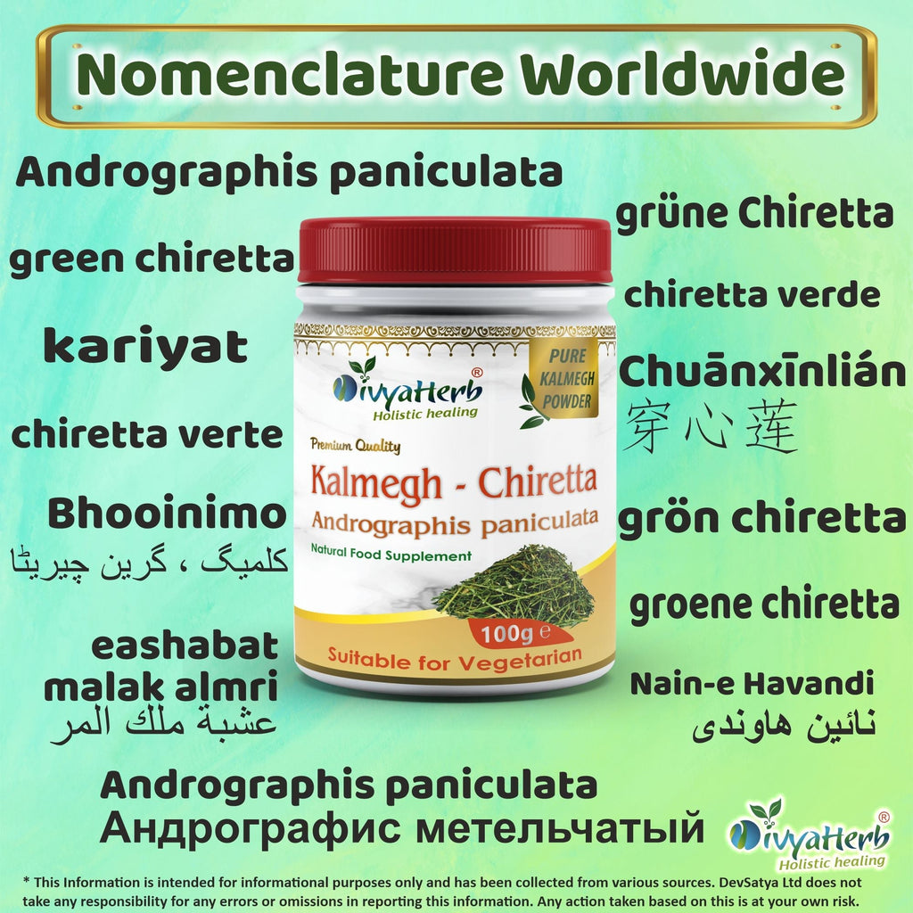 DivyaHerb Kalmegh Powder 100 gram - Daily Wellness Support