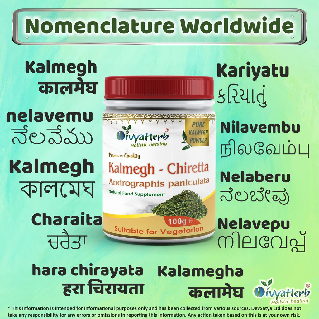 DivyaHerb Kalmegh Powder 100 gram - Daily Wellness Support