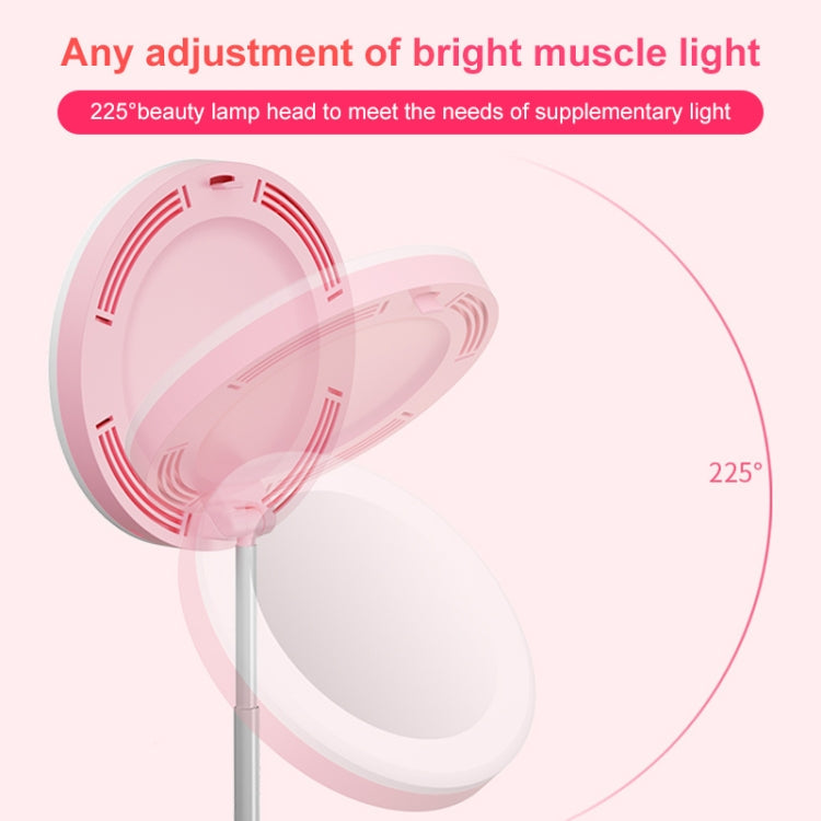 G6 Multi-function Live Broadcast All-in-one Ring Beauty Fill Light Mobile Phone Holder (Black)