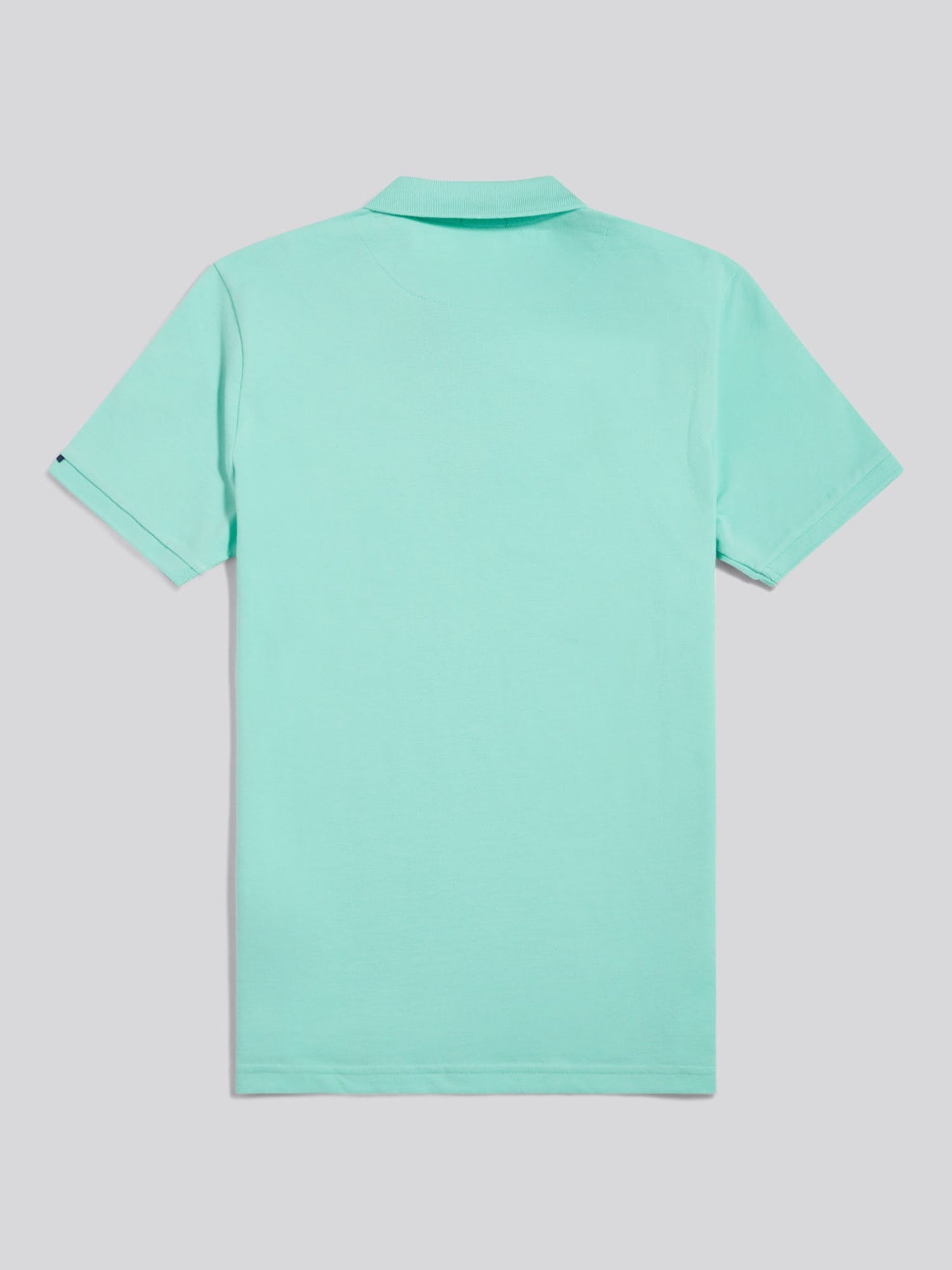 Mens Double Horsemen Polo Shirt Ice Green