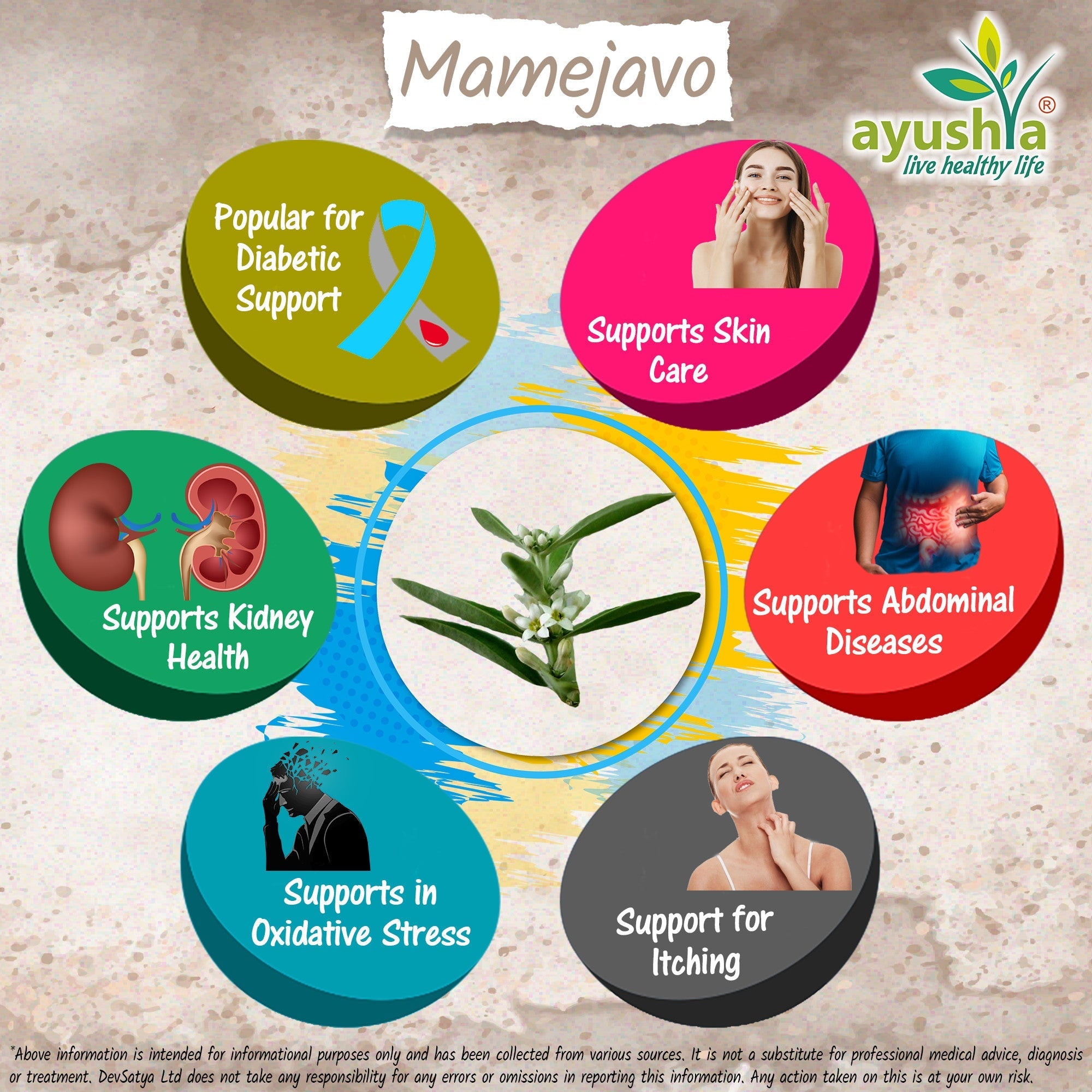 Ayushya Mamejavo Capsules (Enicostemma) Liver & Metabolic Wellness Support - Vegan, Gluten Free, Non-GMO, 60 Capsules