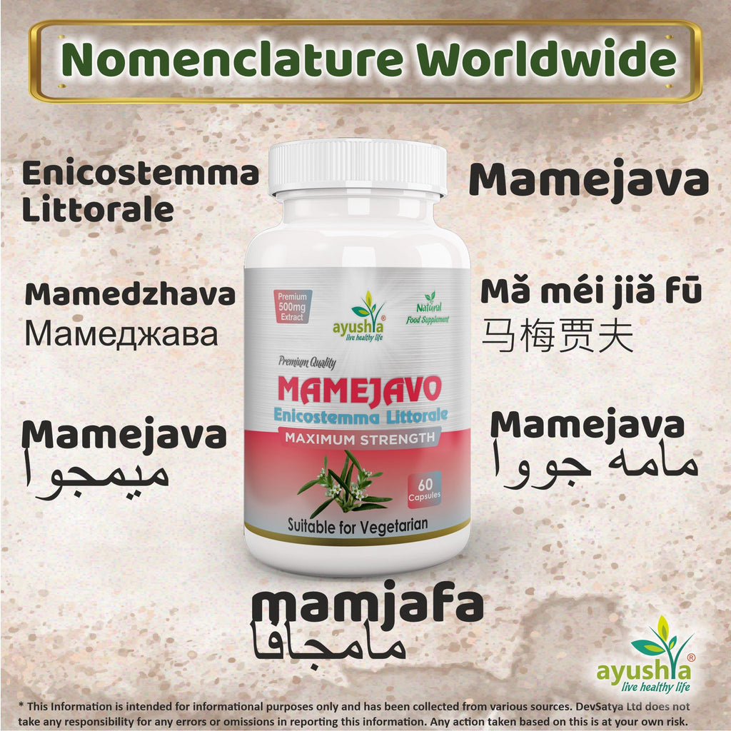 Ayushya Mamejavo Capsules (Enicostemma) Liver & Metabolic Wellness Support - Vegan, Gluten Free, Non-GMO, 60 Capsules